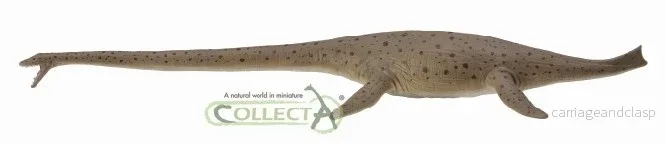 CollectA - Thalassomedon - Deluxe - Skala 1:40 - Bild 3