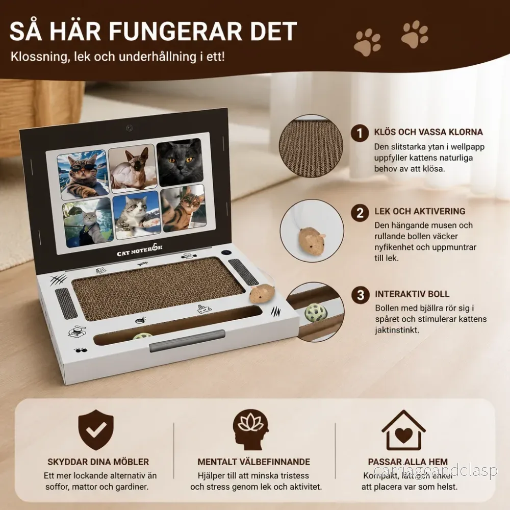 Kattklösare i kartong formad som en laptop & interaktiv leksak - Bild 2