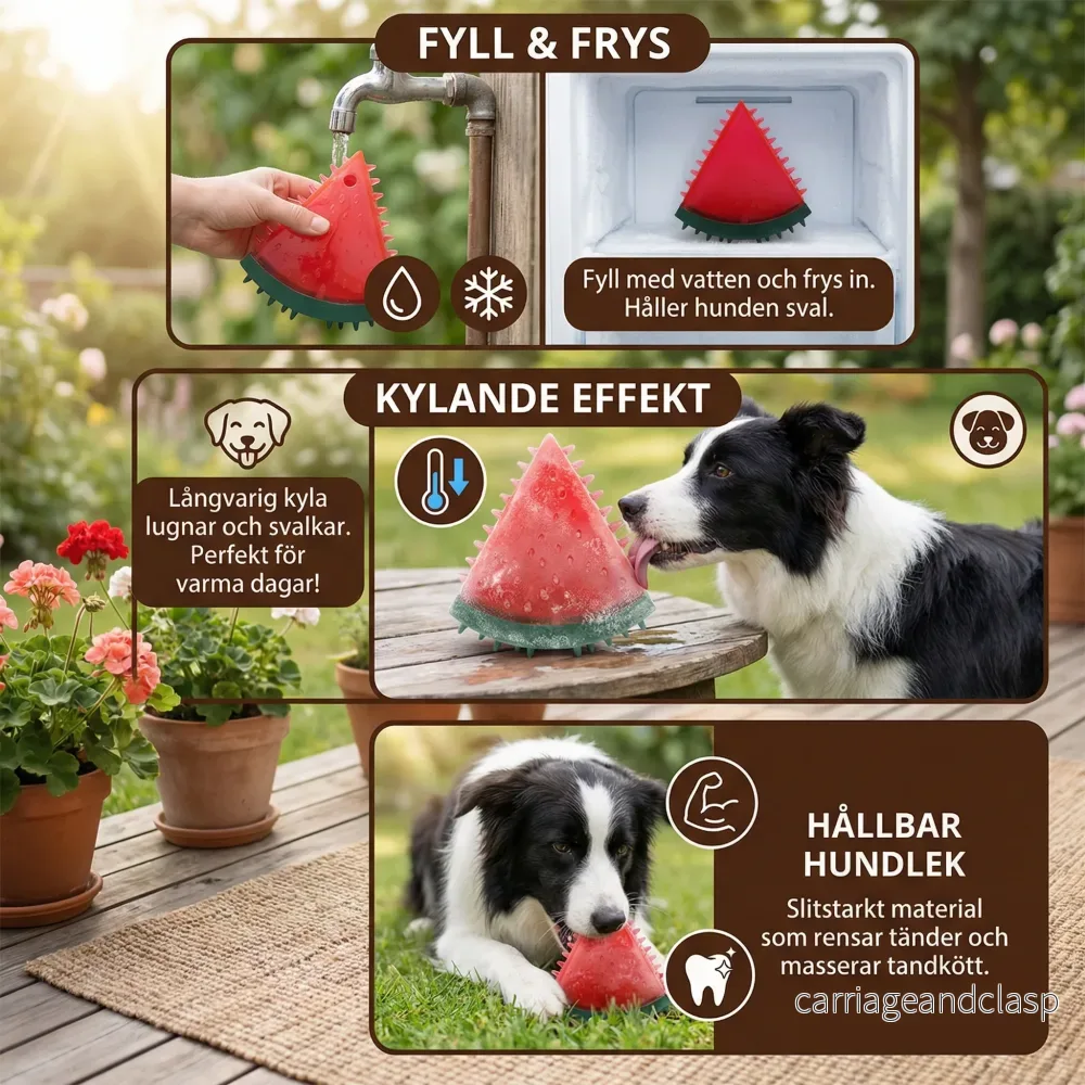 Kylande Hundtuggleksak i Fruktdesign - Bild 2