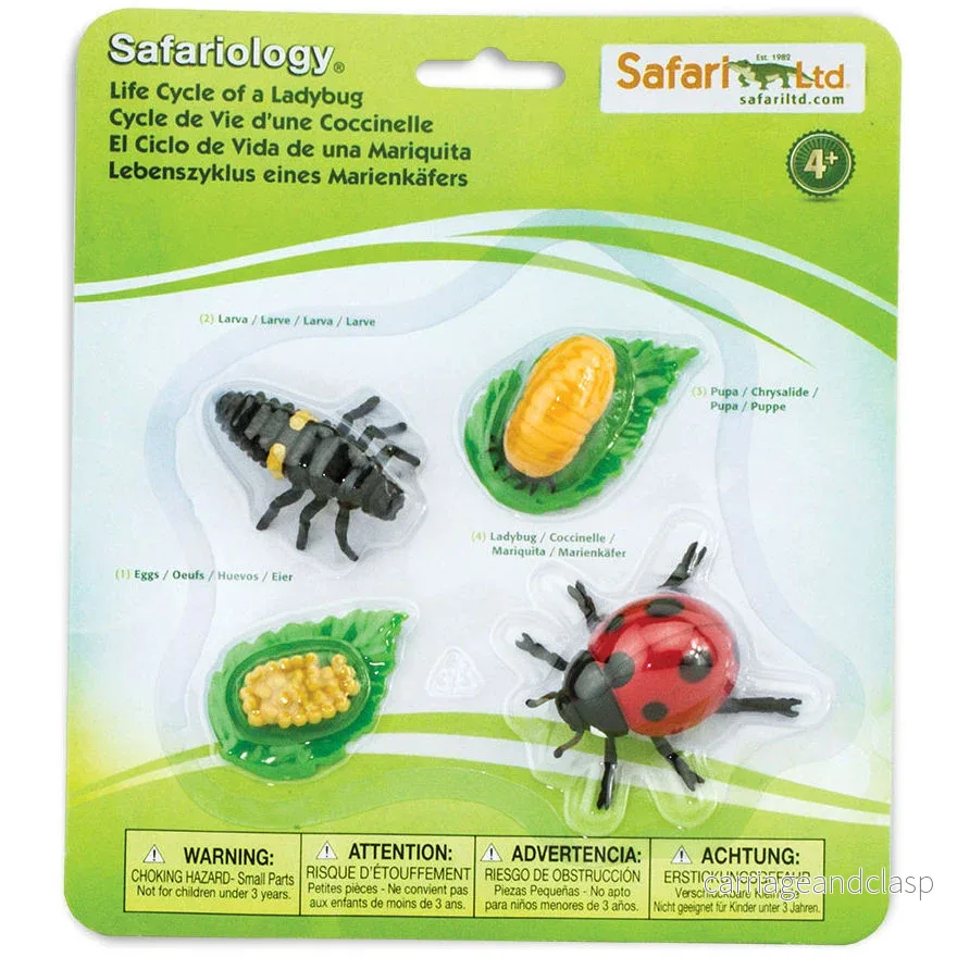 Safari Ltd - Livscykel av en nyckelpiga - Safariology®