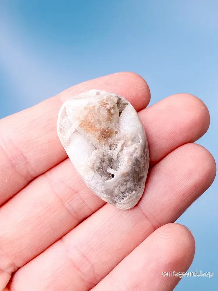 Druzy Conch Fossil (nr 20) - Bild 2