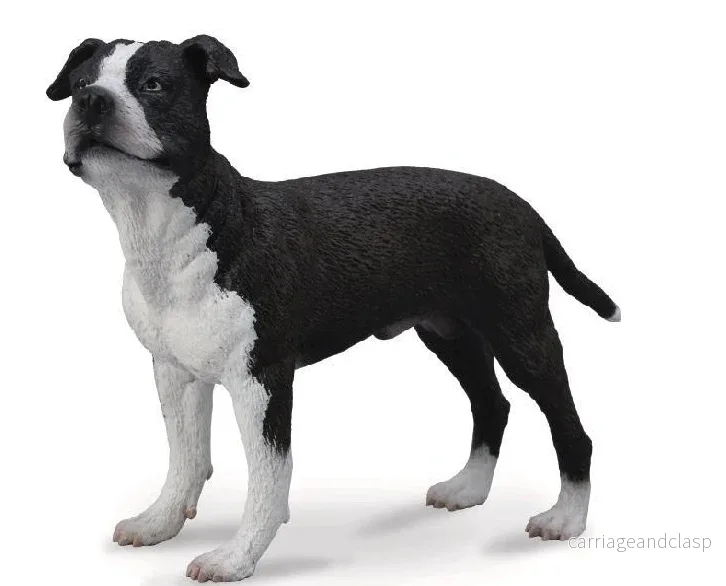 American staffordshire terrier, hane