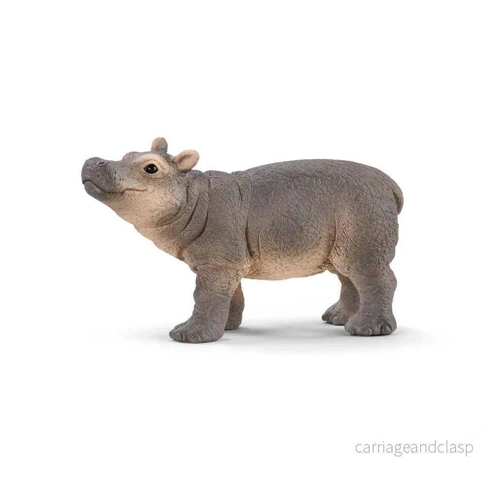 Schleich – Flodhästunge Schleich – Flodhästunge