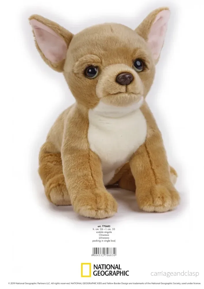 National Geographic Kids: Chihuahua