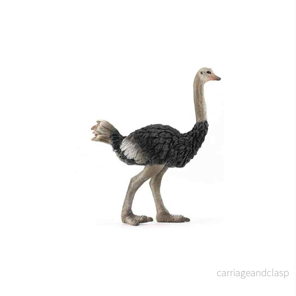 CollectA – Struts CollectA – Struts