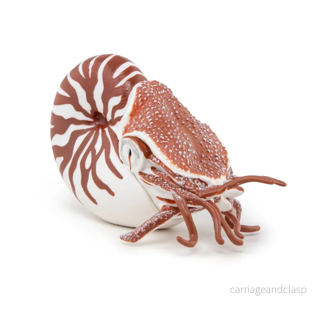 Papo - Nautilus - Bild 3