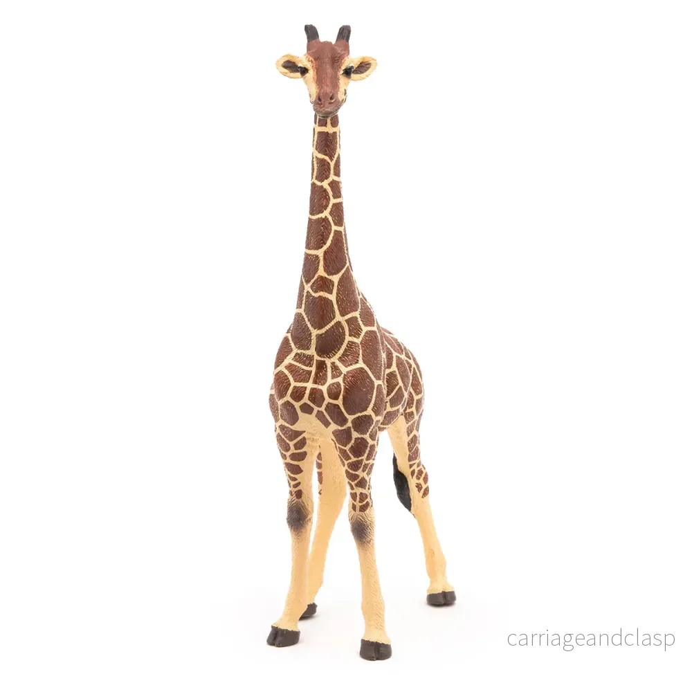 Papo - Giraff hane - Bild 3