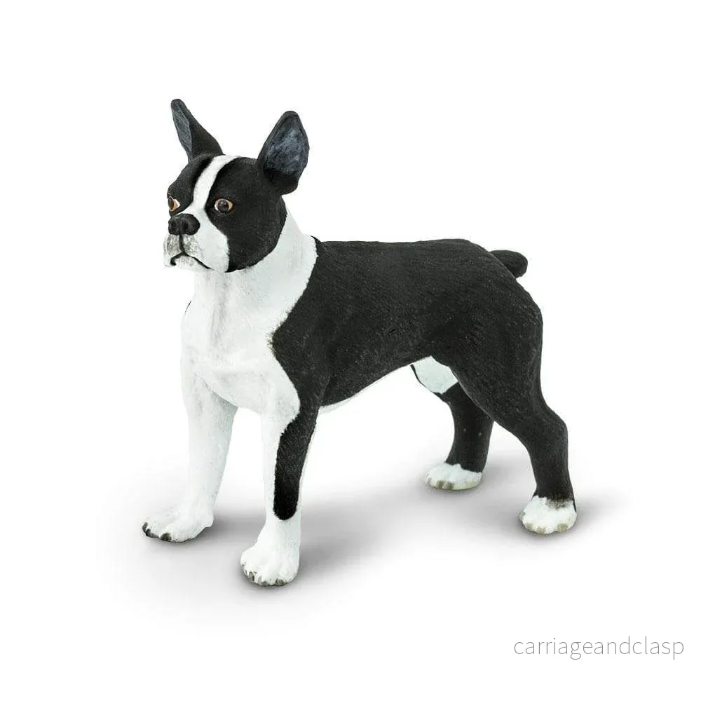 Safari Ltd - Bostonterrier - Bild 2