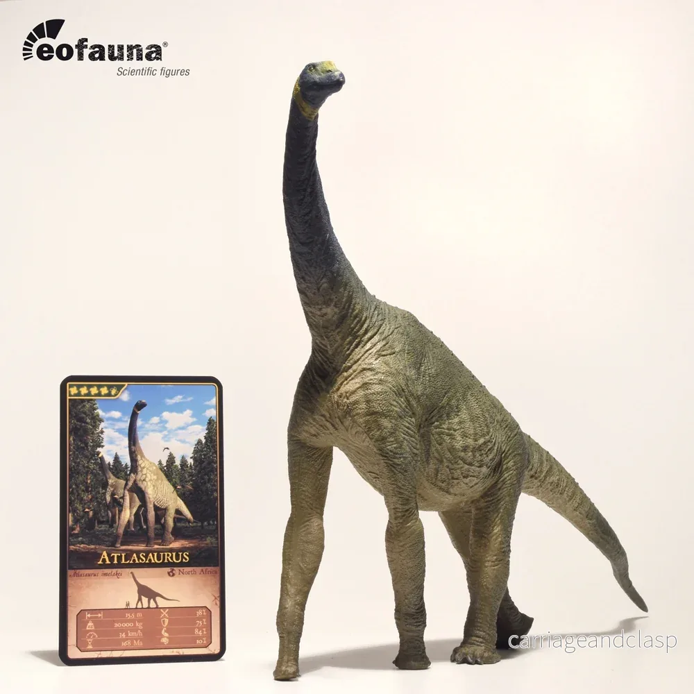 Eofauna - Atlasaurus