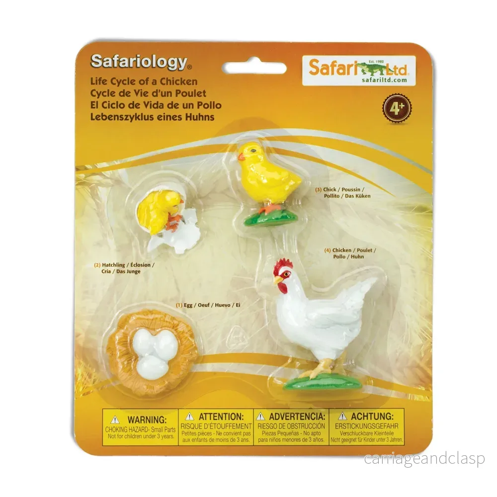 Safari Ltd - Livscykel av en kyckling - Safariology®