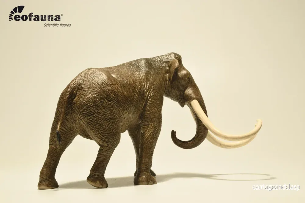 Eofauna - Columbiamammut (Mammuthus columbi) - Bild 3