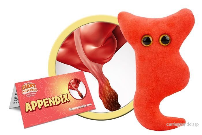 GIANTmicrobes - Appendix (blindtarm)