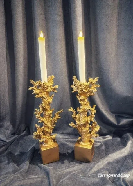 Ljusstake korall