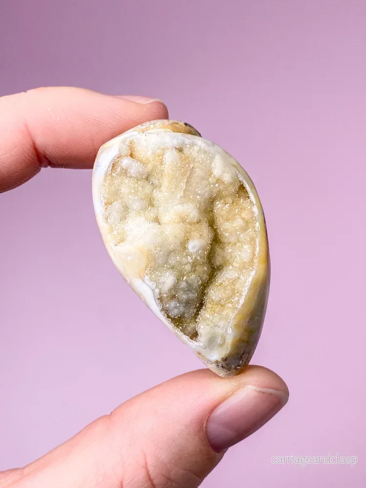 Druzy Conch-fossil (nr 27) Druzy Conch-fossil (nr 27)