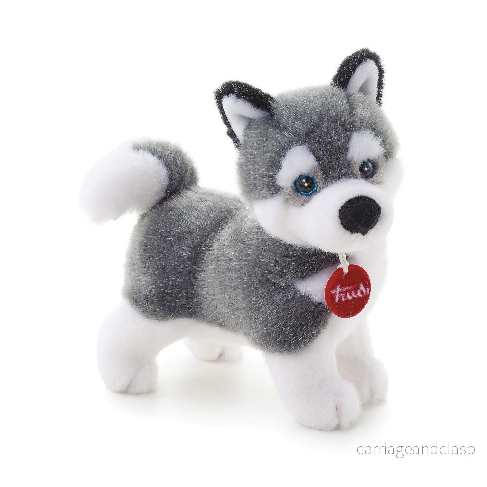 Husky Marcus