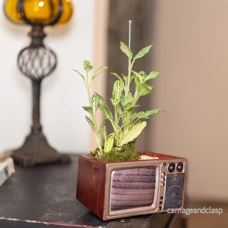 Retro Radio TV Succulent Pot | Veska - Bild 3