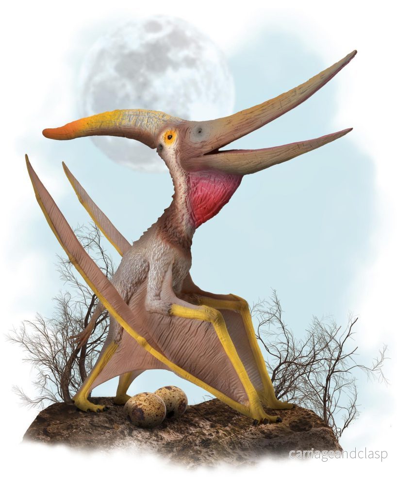 CollectA - Pteranodon med ledad käke - Deluxe Skala 1:40 - Bild 3