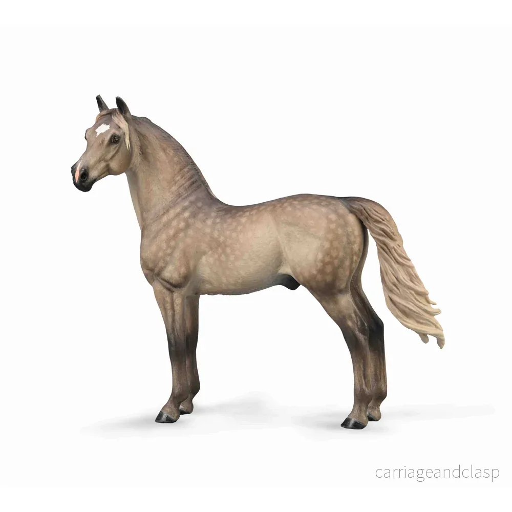 CollectA - Morganhäst Hingst (Silver Grulla, Musgrå)