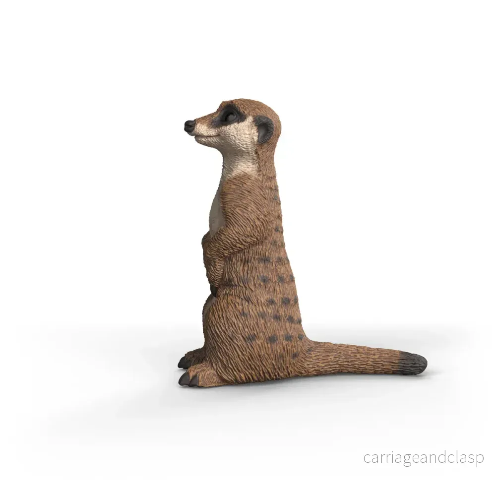 Schleich - Surikat - Bild 2