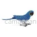 Safari Ltd - Hyacintara - Bild 2