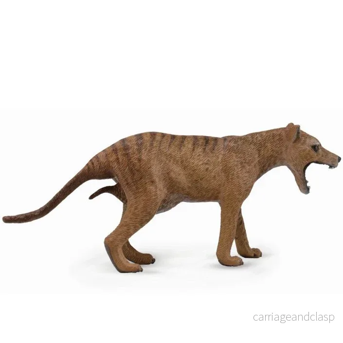 CollectA – Pungvarg (hona) – Thylacine / Tasmanian Tiger CollectA – Pungvarg (hona) – Thylacine / Tasmanian Tiger