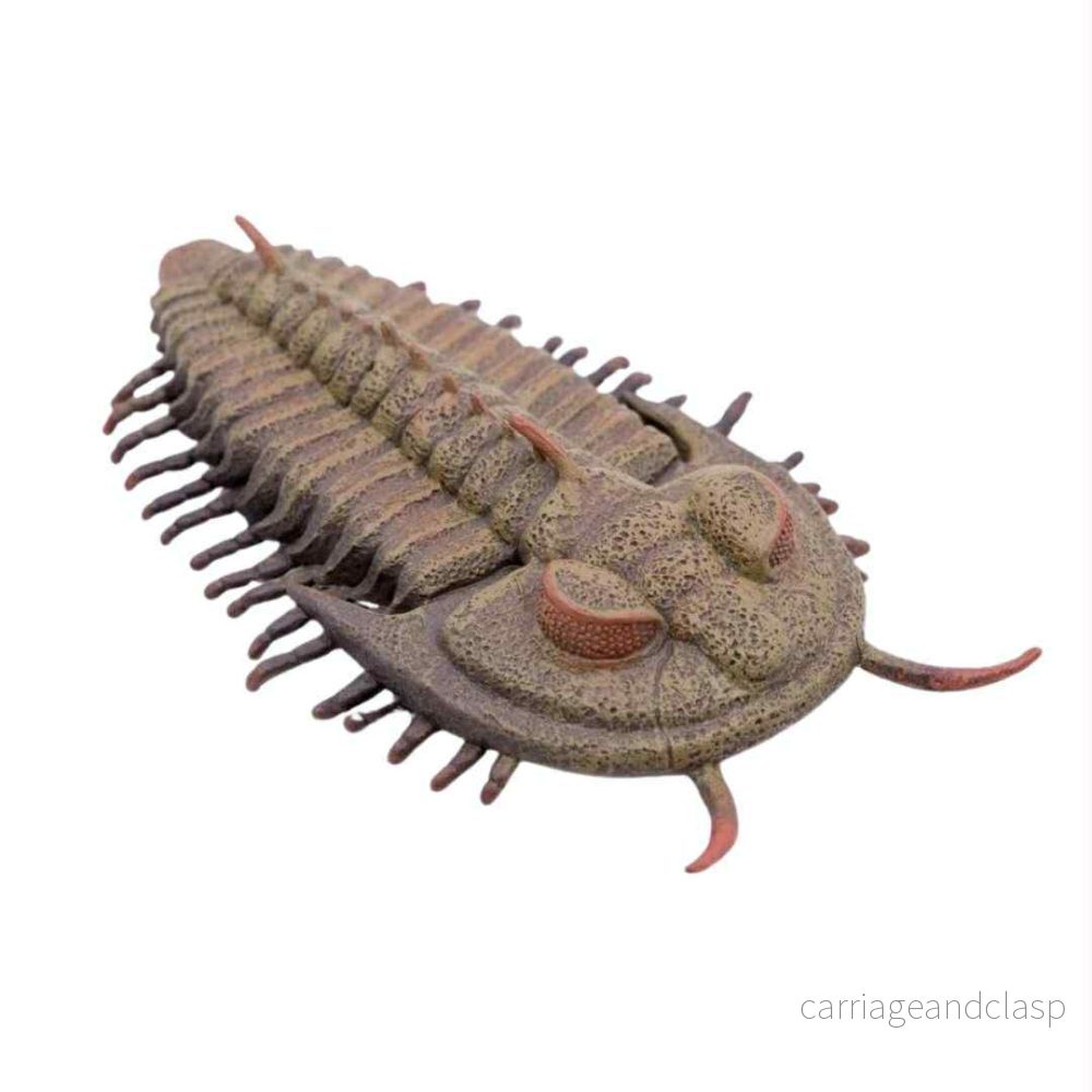 CollectA – Trilobit (Redlichia rex) CollectA – Trilobit (Redlichia rex)