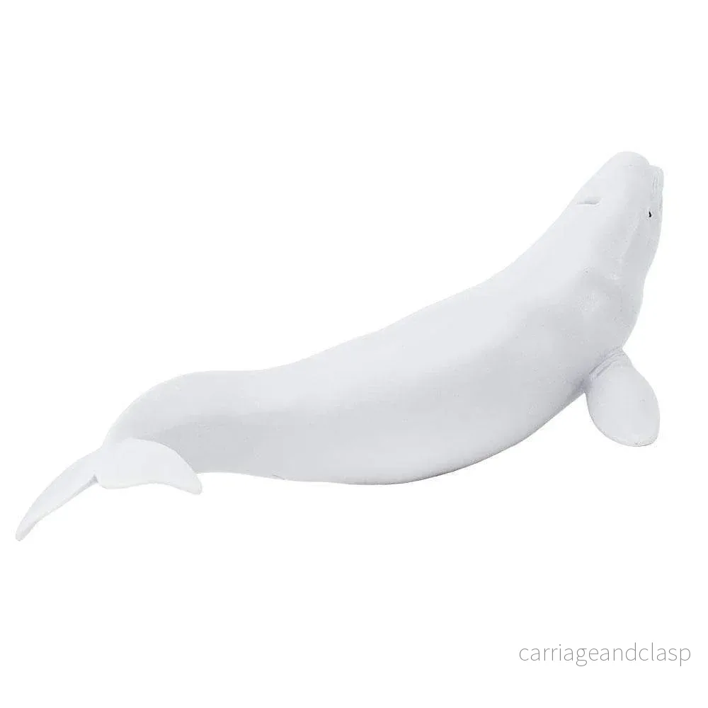 Safari Ltd - Vitval (Beluga) - Bild 3