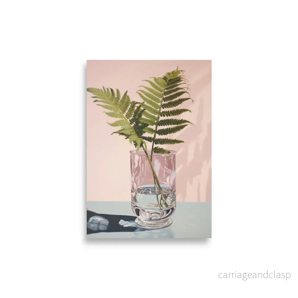 Mimosa Pudica | Veska Mimosa Pudica | Veska