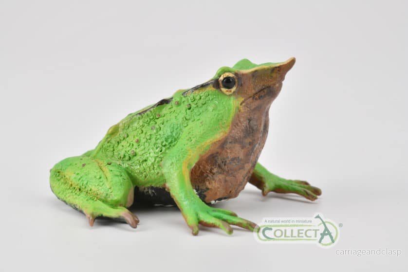 CollectA - Darwins groda (Darwin's Frog) - Bild 3