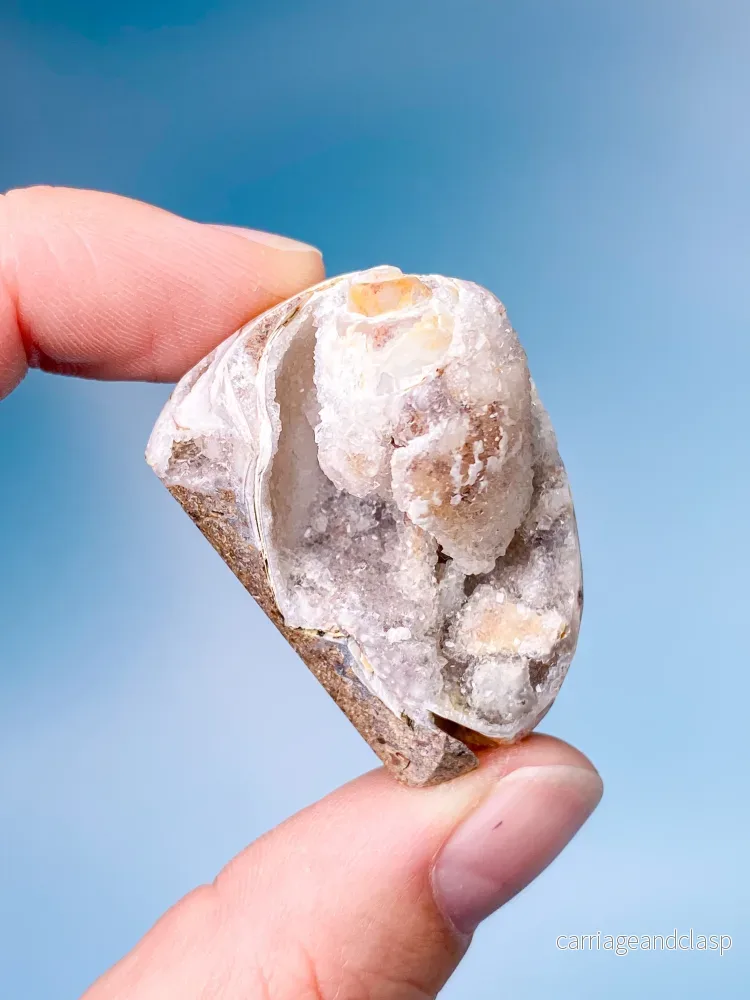 Druzy Conch Fossil (nr 1) Druzy Conch Fossil (nr 1)