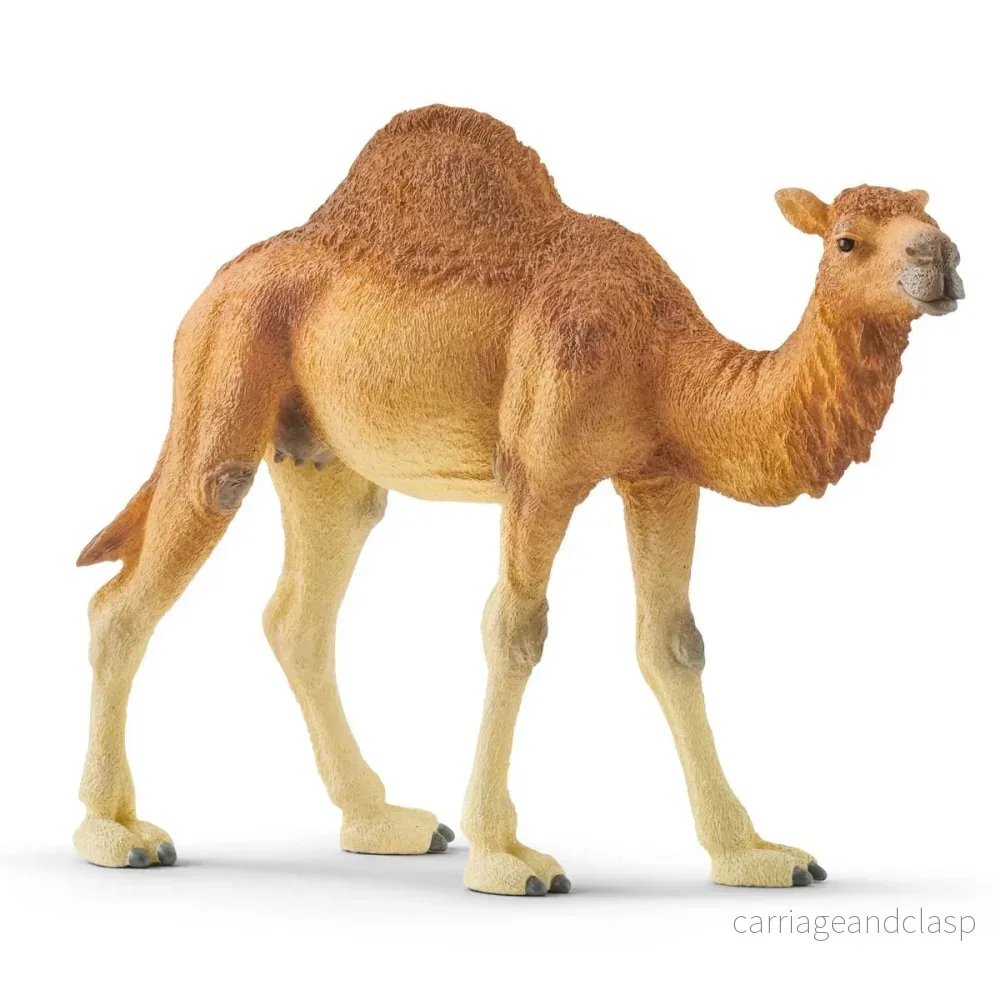 Schleich - Dromedar