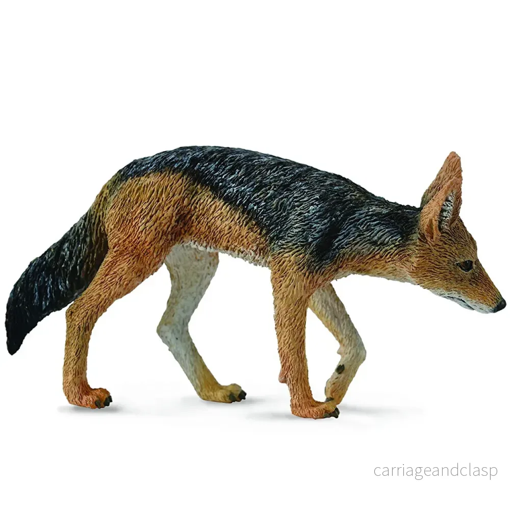 CollectA - Schabrakschakal (svartryggad schakal)