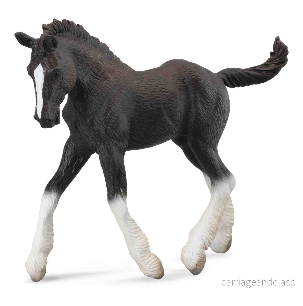 CollectA - Shirehäst föl (svart)