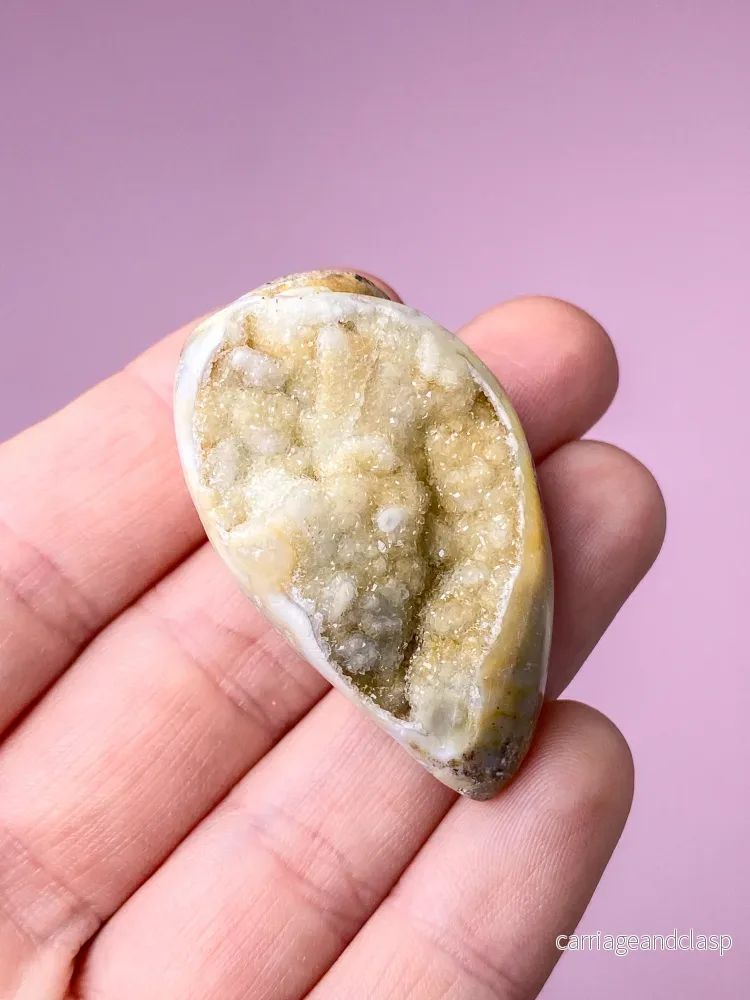 Druzy Conch-fossil (nr 27) - Bild 2