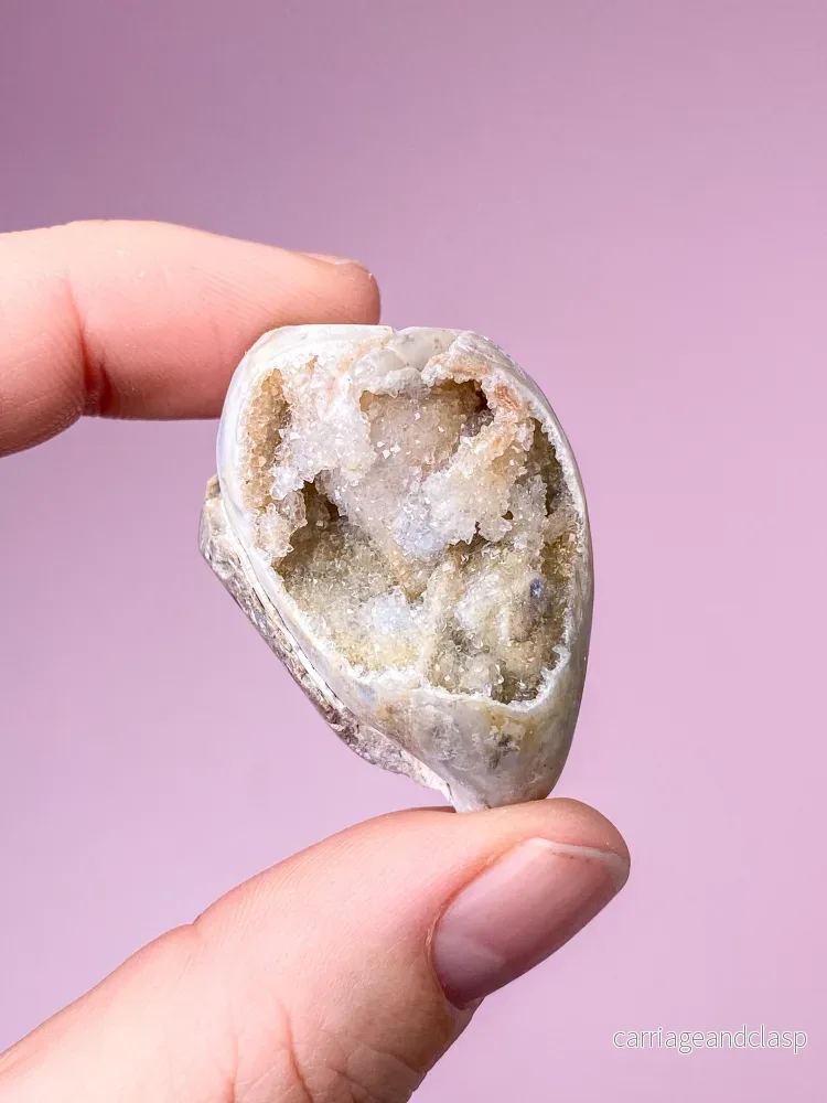 Druzy Conch-fossil (nr 25) Druzy Conch-fossil (nr 25)