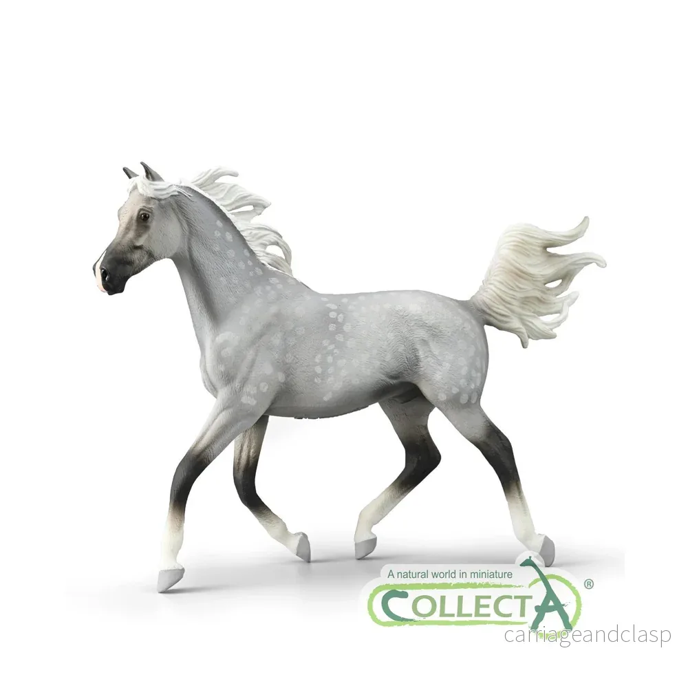 CollectA - Halvarab hingst skimmel - DELUXE (stor modell)