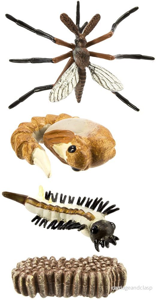 Safari Ltd - Livscykel av en mygga - Safariology® - Bild 2
