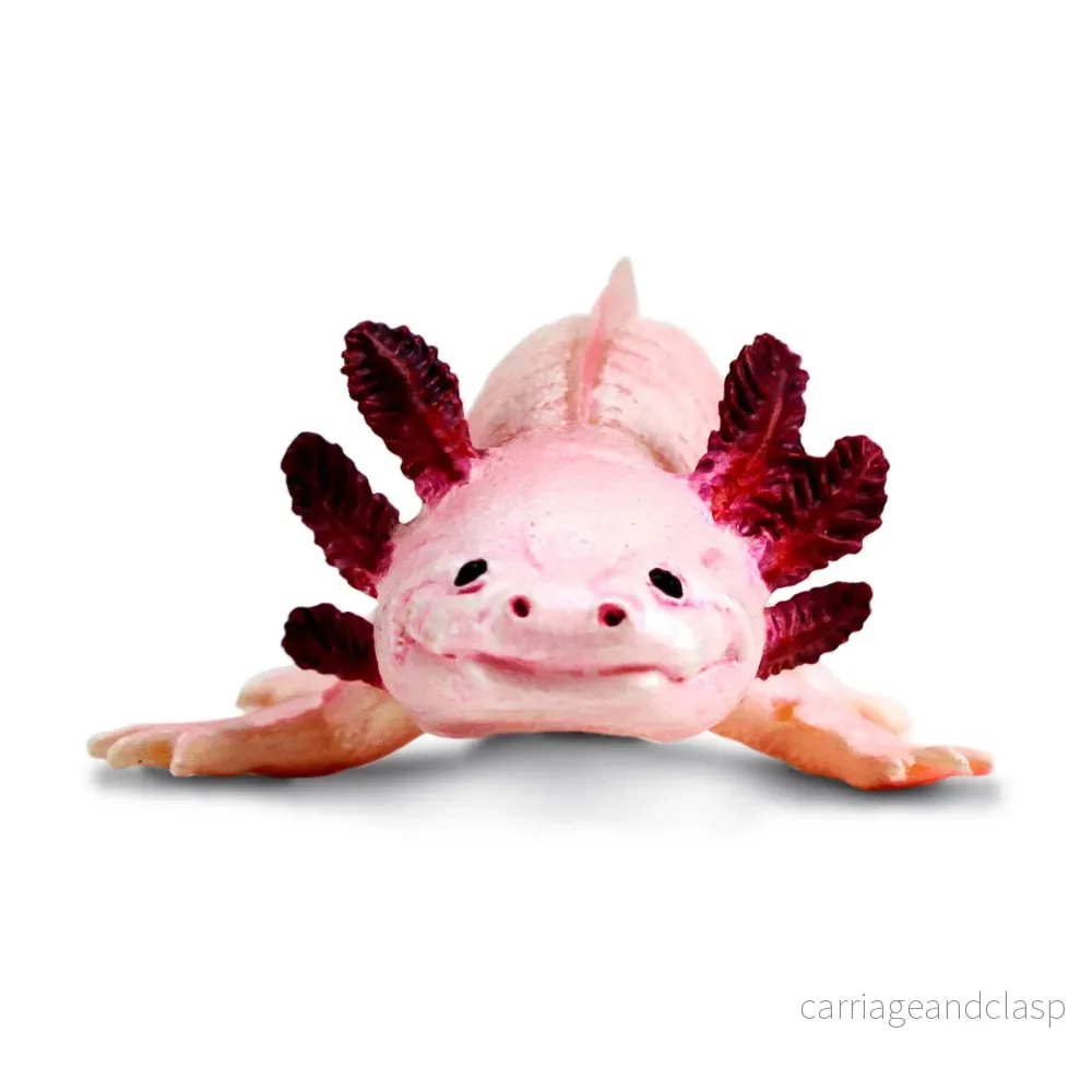 Safari Ltd - Axolotl - Bild 3