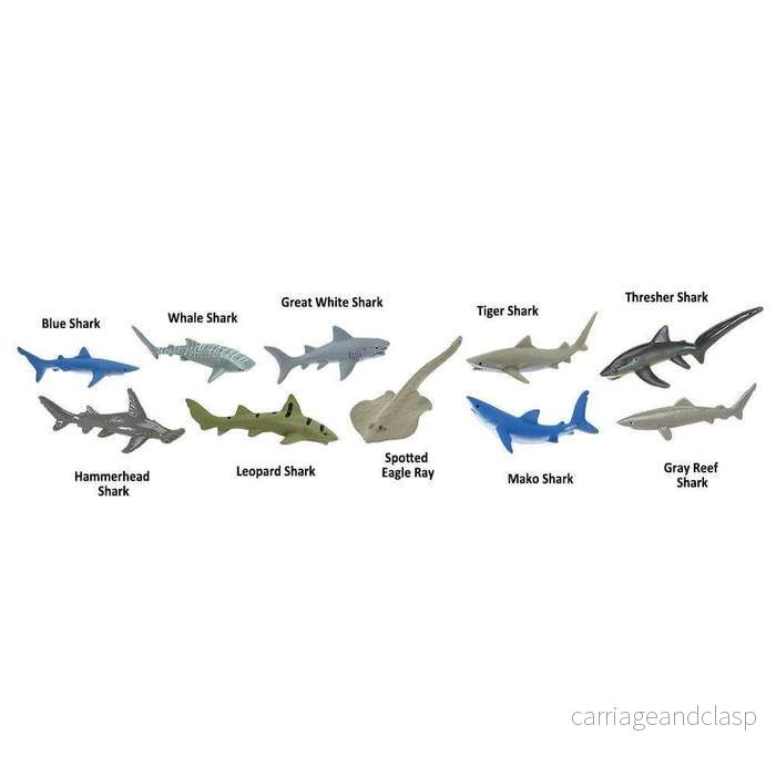 Safari Ltd - Hajjar (Sharks) TOOB® - Bild 3