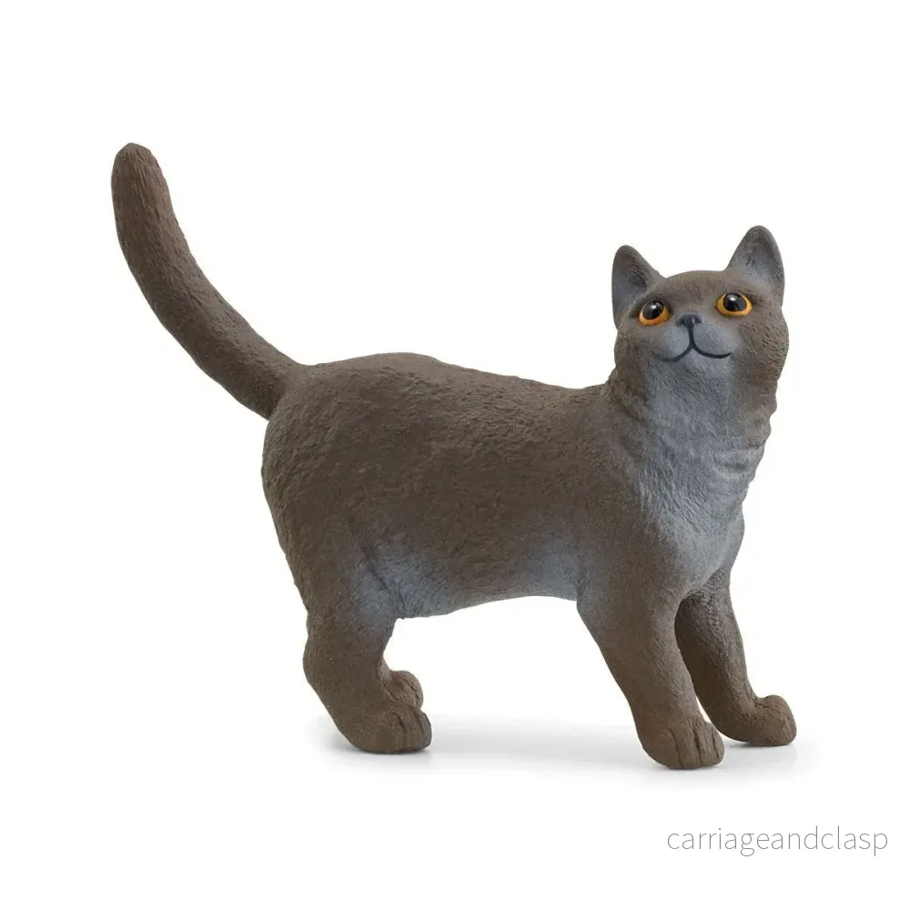 Schleich - Brittiskt korthår