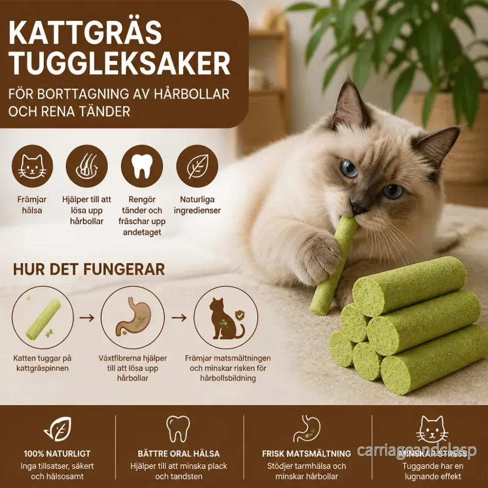 Kattgräs Tuggleksaker för Borttagning av Hårbollar och Rena Tänder - Bild 3