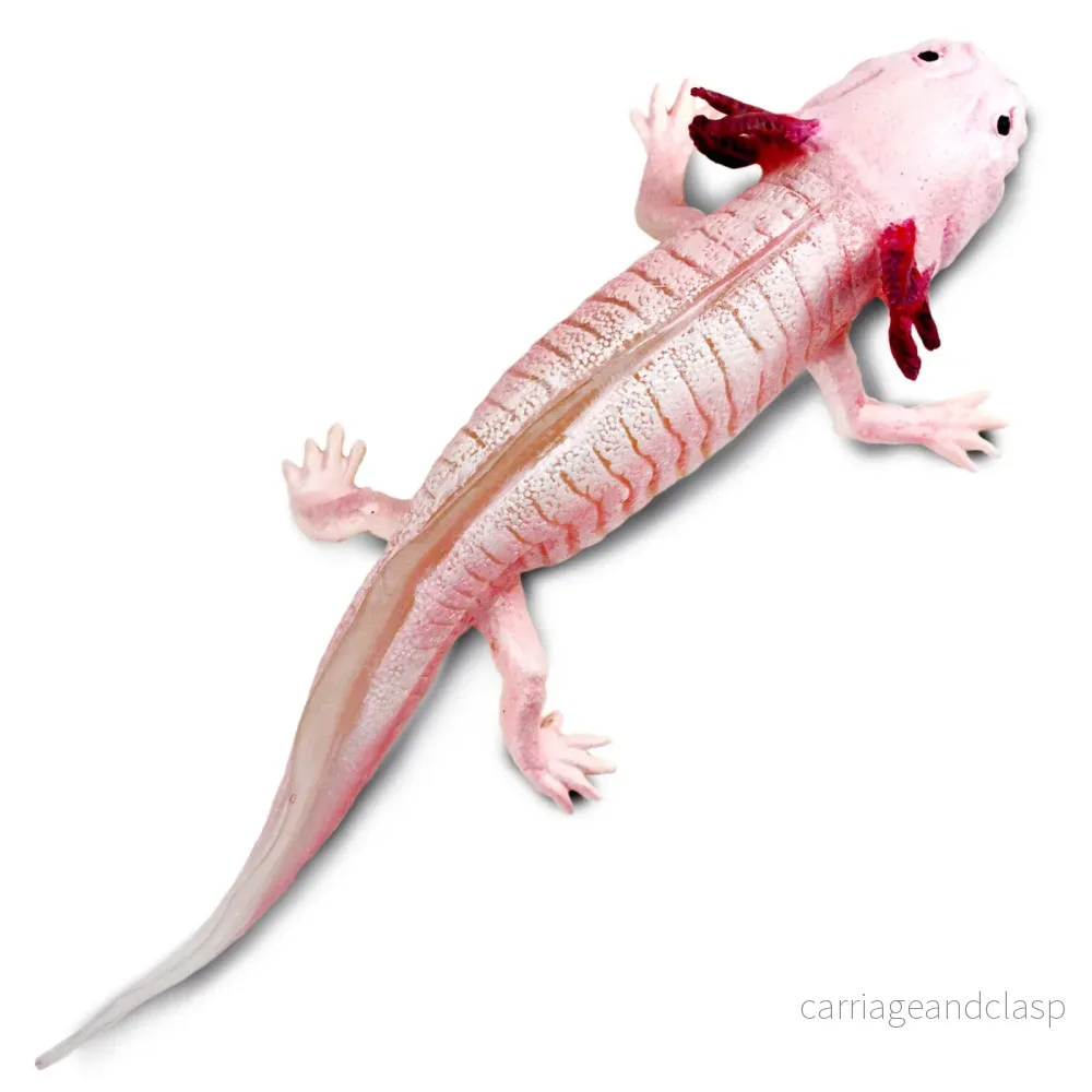 Safari Ltd - Axolotl - Bild 2