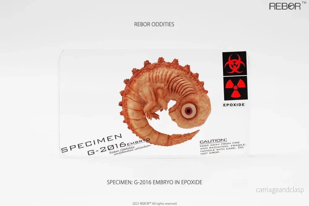 REBOR Oddities Specimen: G-2016 Embryo in Epoxide