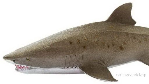 Safari Ltd - Sandtigerhaj - Bild 3