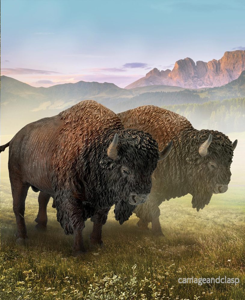 CollectA - Amerikansk Bison - Bild 3