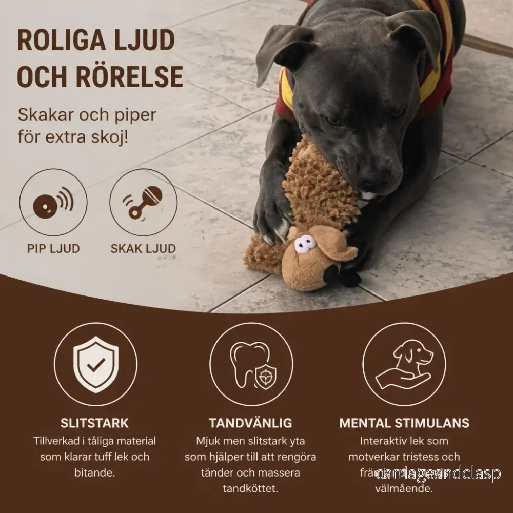 Slitstark hundleksak utan fyllning med prassel- och pipljud - Bild 2