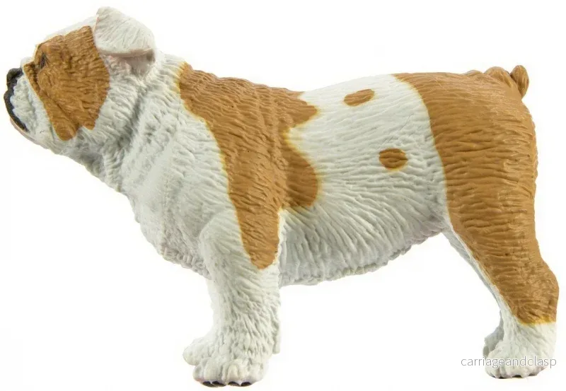 Safari Ltd - Bulldog - Bild 3