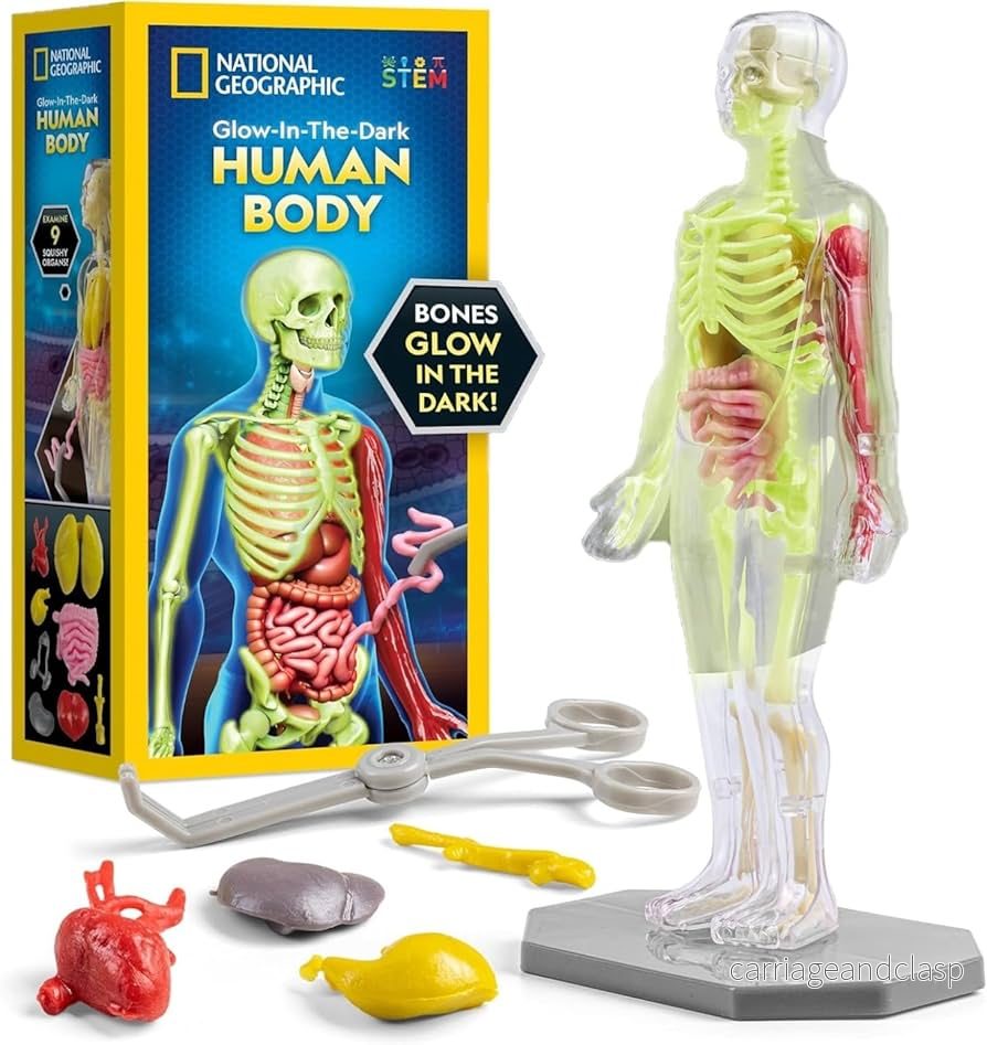 National Geographic - Utforska Människokroppen Kit - Bild 2