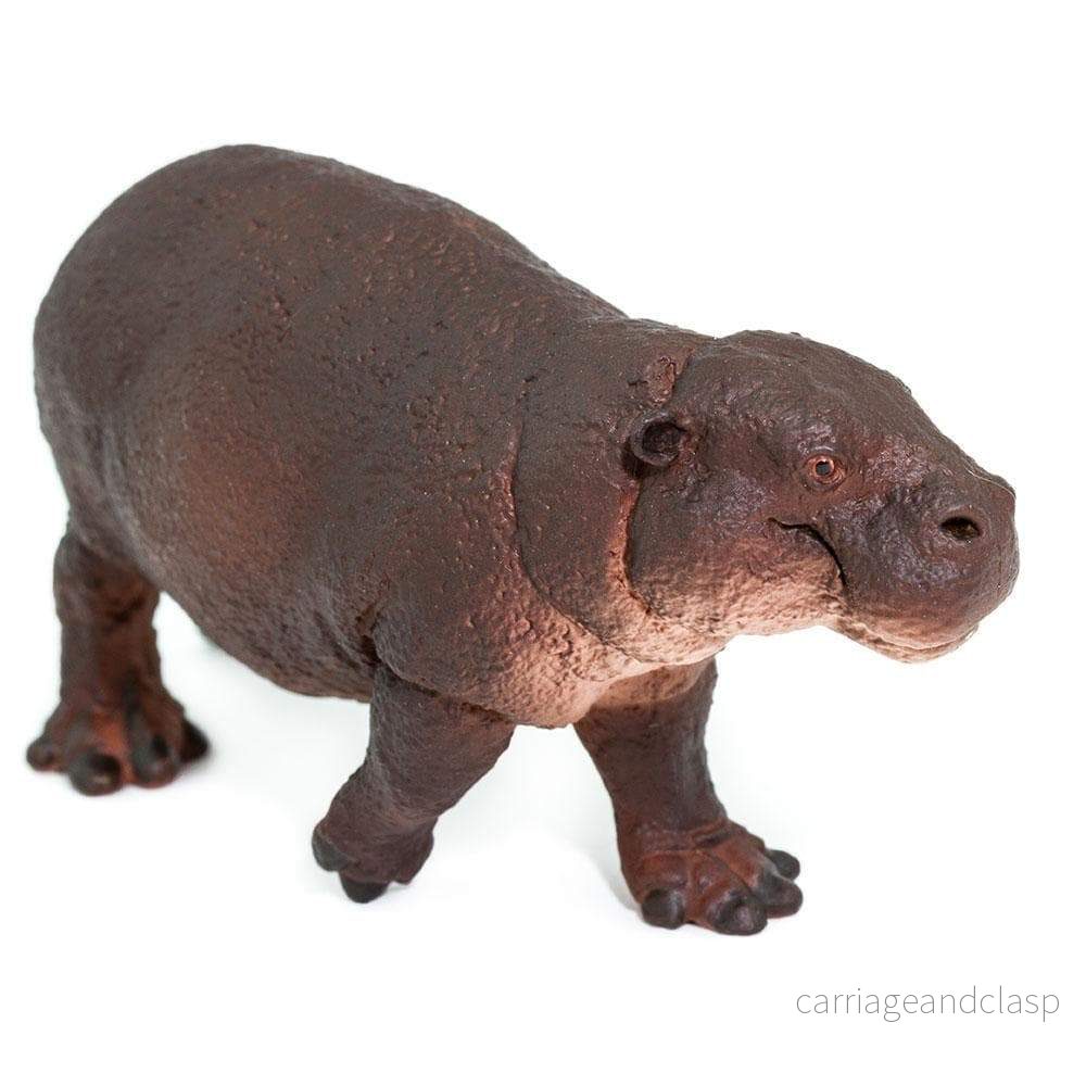 Safari Ltd - Dvärgflodhäst - Bild 2