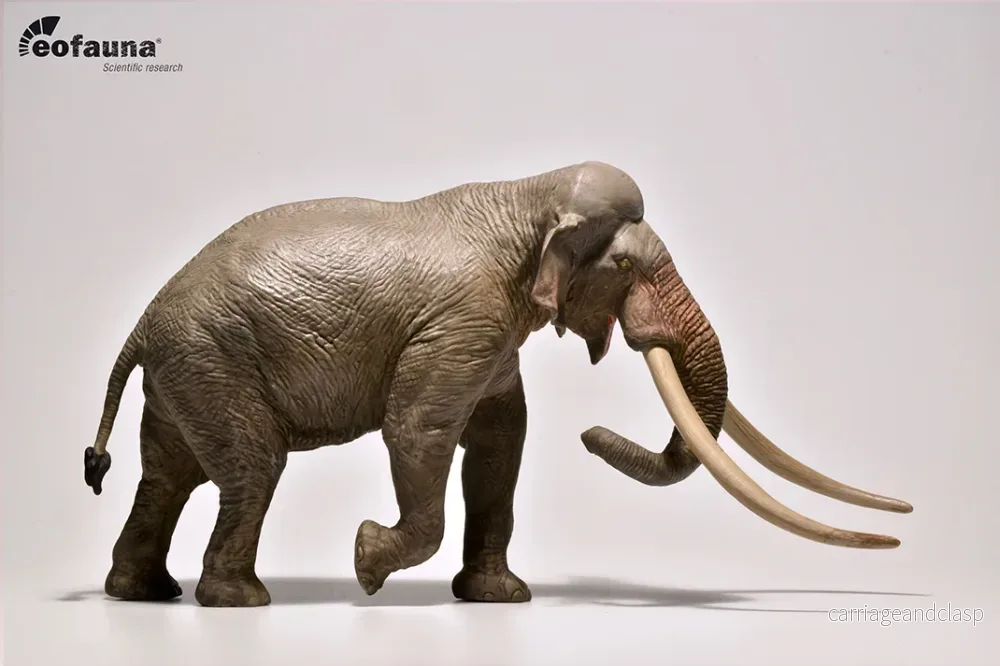 Eofauna - Palaeoloxodon Elefant (Straight-tusked elephant) - Bild 3